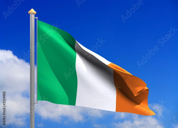 Fototapeta ireland flag (include clipping path)
