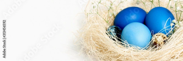 Fototapeta Banner with Easter eggs in blue colors in a nest. Copy space. The concept of stylish decoration for Easter, greeting cards, etc.