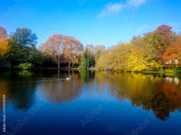 Fototapeta Reflection of Autumn and Fall Colored Trees in Lake Water