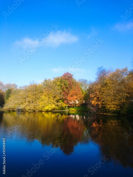 Obraz Reflection of Autumn and Fall Colored Trees in Lake Water