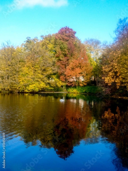 Obraz Reflection of Autumn and Fall Colored Trees in Lake Water