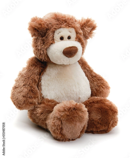 Fototapeta Close-up of stuffed animal on white background