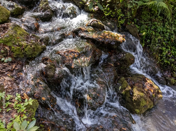 Obraz Waterfall in the Forest