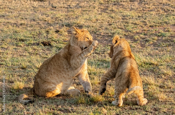 Fototapeta High Five!