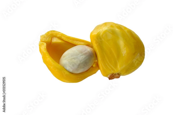 Obraz Ripe Jackfruit isolated on white background.