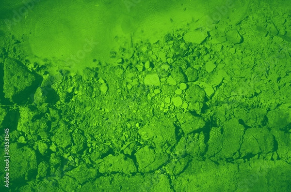 Obraz abstract green bright color background for design