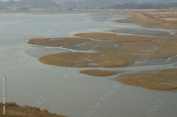 Obraz SuncheonBay Wetland Reserve, South Korea. It is full with reeds, birds, and marine lives. 