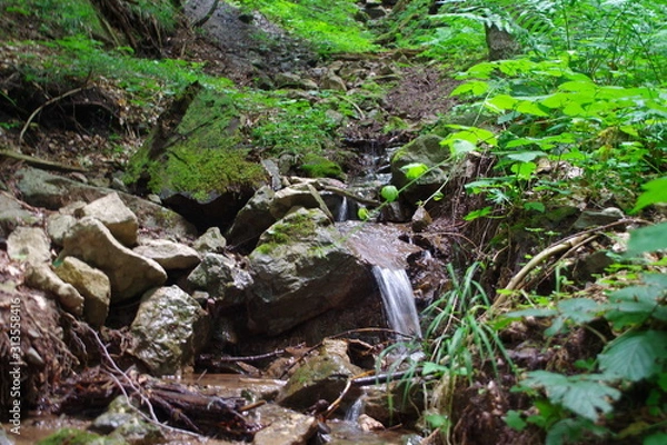 Obraz waterfall in forest