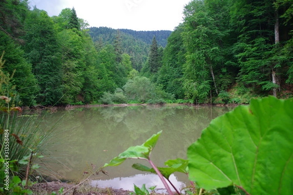 Obraz lake in deep forest