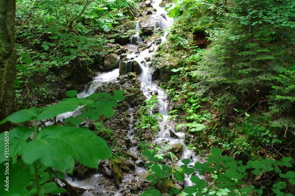 Obraz waterfall in forest