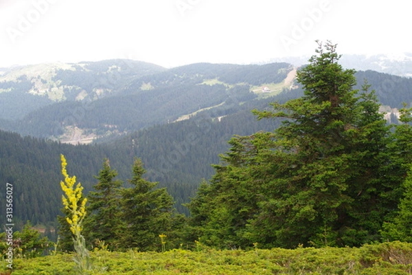 Obraz landscape in the mountains