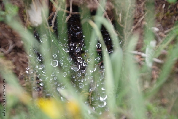 Obraz SU DAMLALALARI