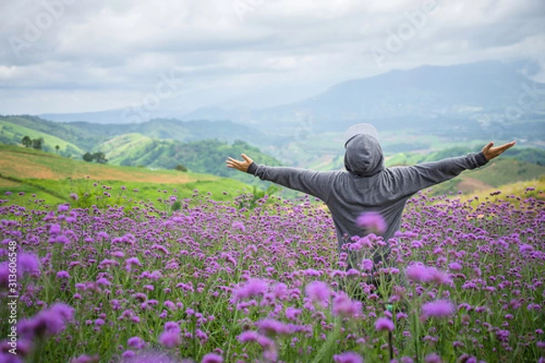 Fototapeta Happy of man standing alone on mountain with open arms raised up in verbena purple flower field in the morning. Enjoying  nature