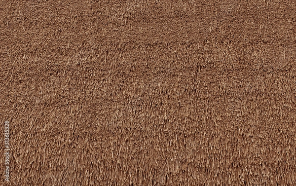 Obraz Old Weathered Thatched Roof Background Texture