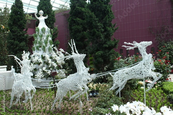 Obraz Reindeer