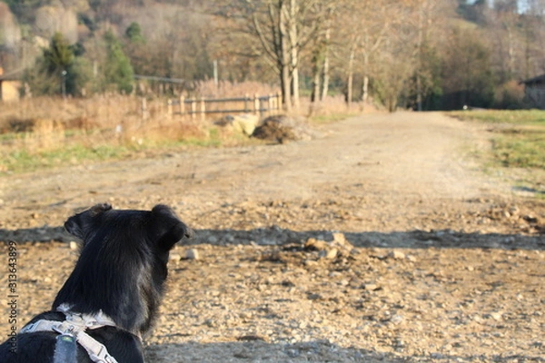 Obraz Chiaro e scuro