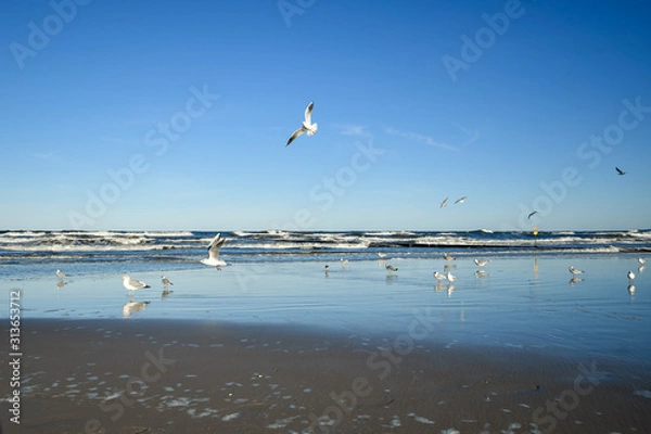 Obraz Zimowe Morze Bałtyckie