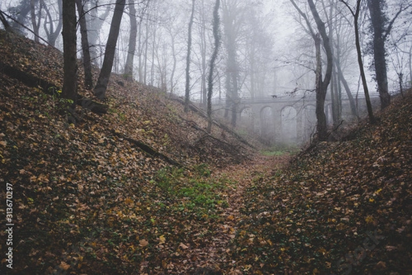 Obraz Brücke im Nebel