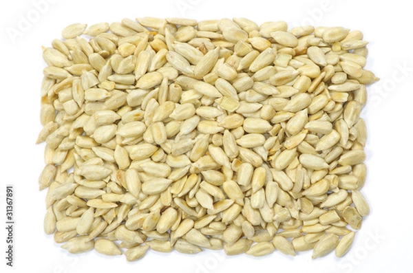 Obraz sunflower seeds