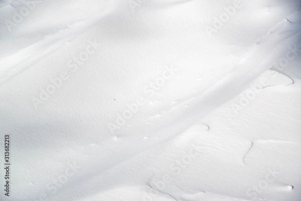 Fototapeta 風に削られて模様のついた雪原