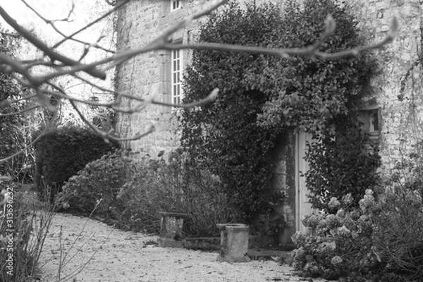 Obraz a hidden house