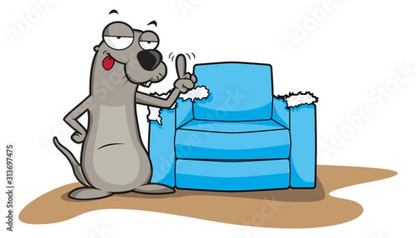 Fototapeta Cute Otter