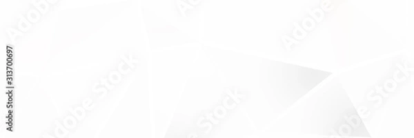 Fototapeta 3d ILLUSTRATION, of white abstract crystal background, triangular texture, wide panoramic for wallpaper, 3d black background low poly design