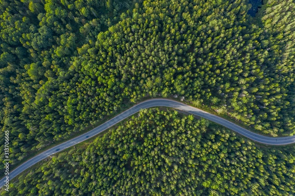 Fototapeta The time of year is summer. Road through a country of pine forests and lakes aerial view
