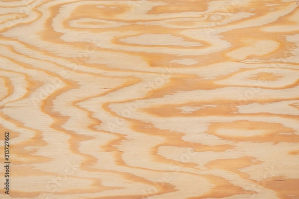 Fototapeta larch texture pattern as background