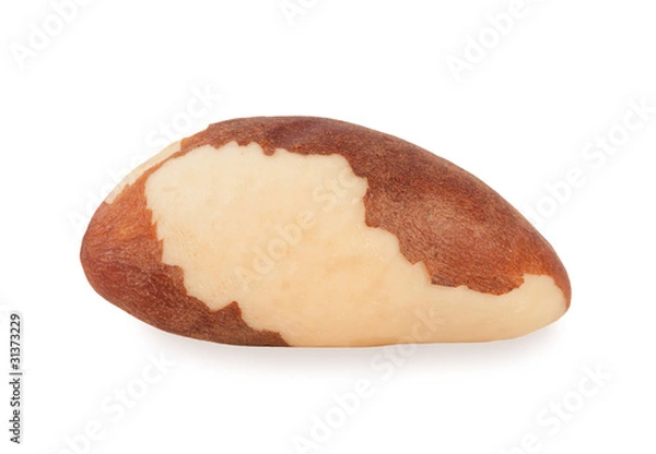 Obraz Brazil nut.