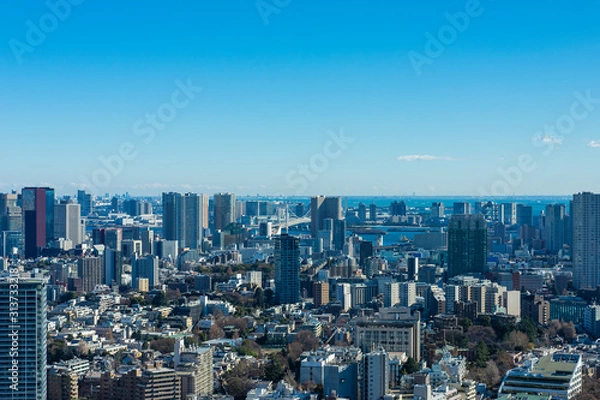 Fototapeta 東京パノラマビュー