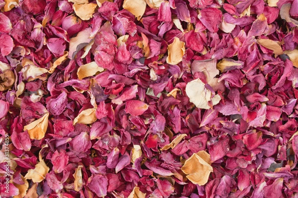 Obraz Dried petals