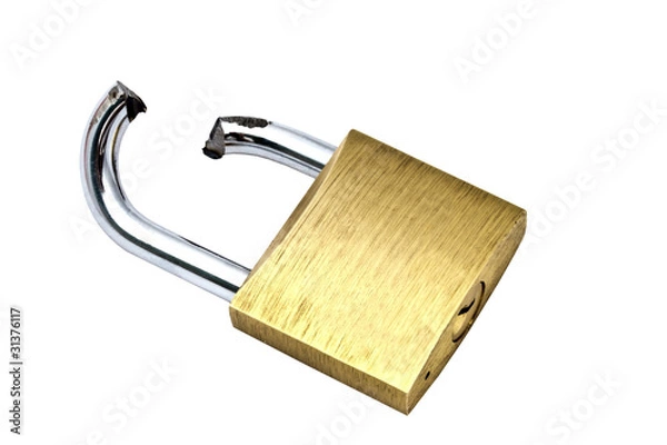 Obraz Broken padlock on white