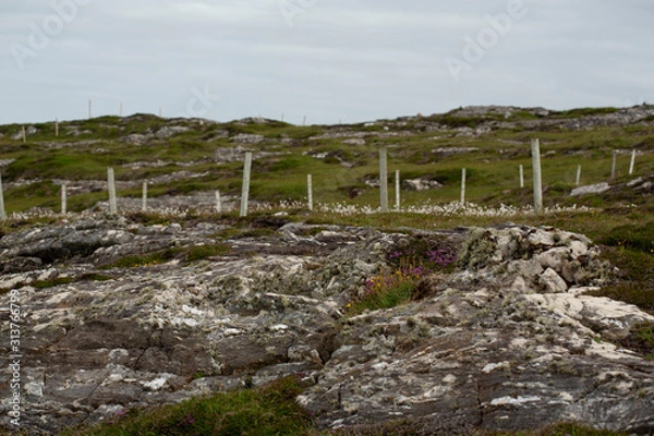 Obraz Fields of Connemara, Ireland