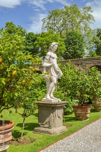 Obraz Palazzo Pfanner, Lucca