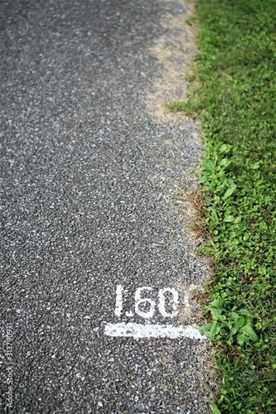 Obraz 道上のサイン