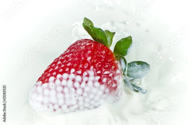 Obraz strawberry splashing into milk