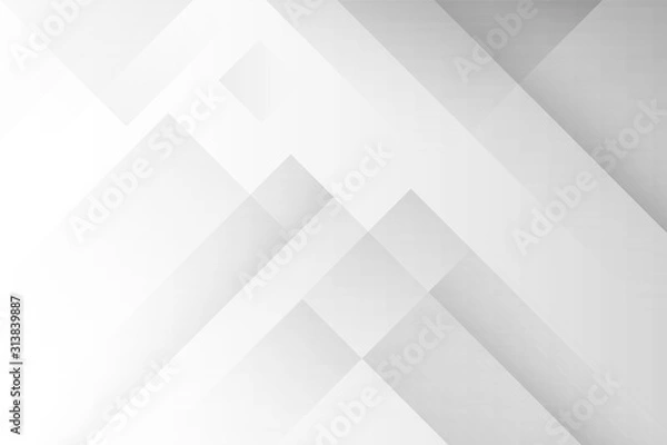 Fototapeta Abstract white and gray gradient backgroun. Modern design geometrical. Vector Illustration.