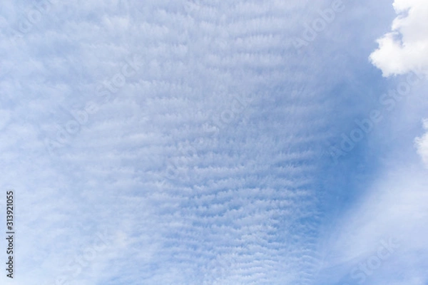 Fototapeta Blue sky and clouds on a clear day and good weather in the morning, fluffy and soft white clouds