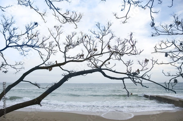 Obraz Winter seashore,