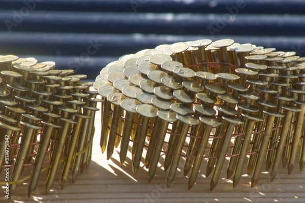 Fototapeta Roofing nails 