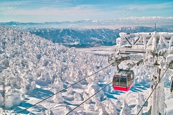 Obraz 日本のある蔵王スキーリゾート