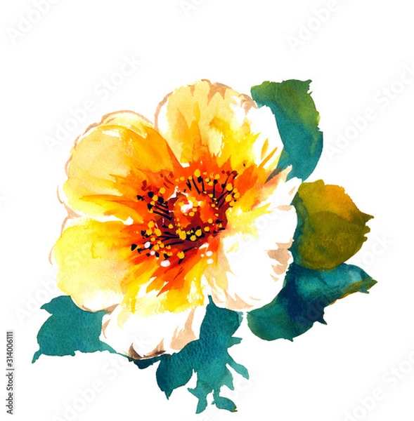 Obraz cherry blossoms after winter.   isolated on a white background.