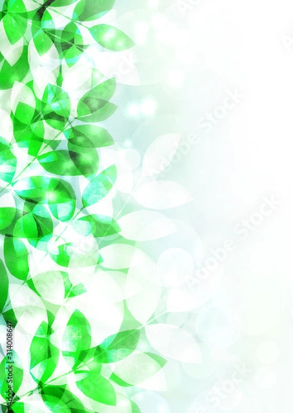 Obraz 木漏れ日　新緑　空