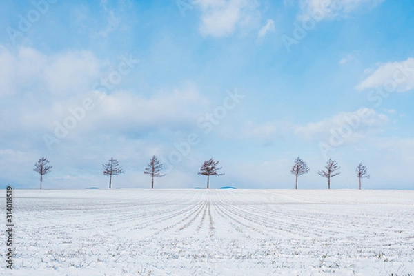 Fototapeta メルヘンの丘