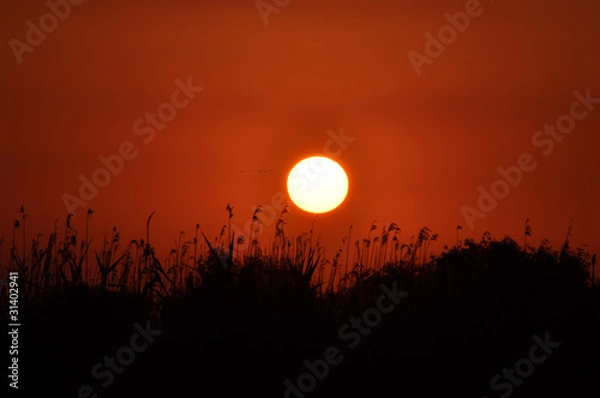 Obraz Sunrice in Danube Delta