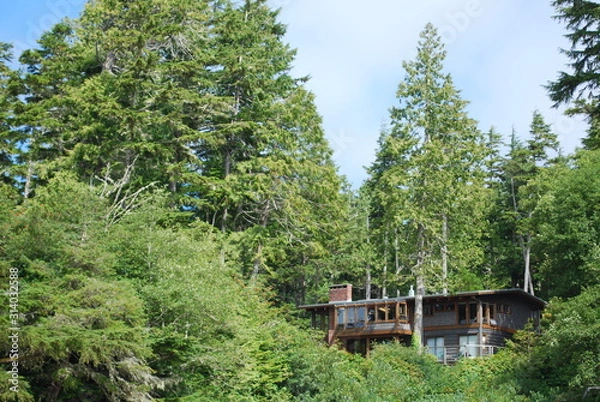 Obraz House by the bay 2