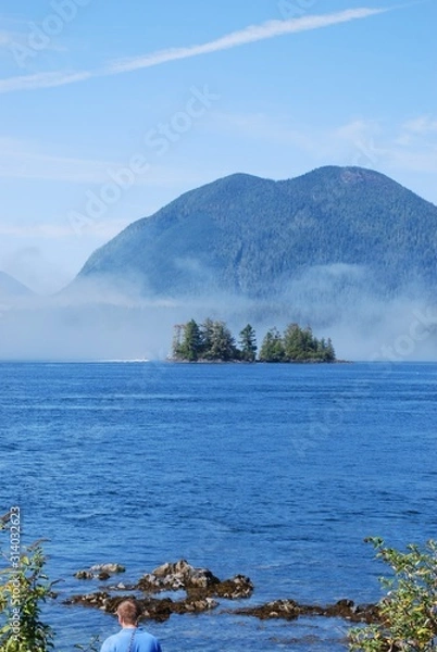 Obraz Tofino landscape