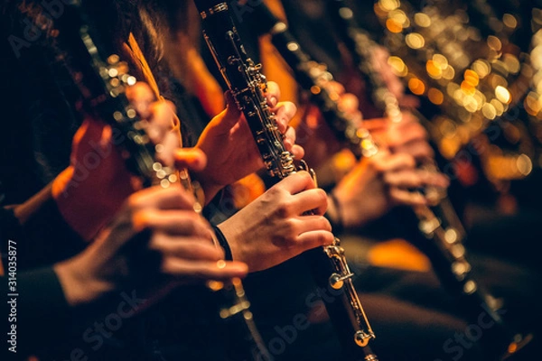 Obraz CLARINET 4