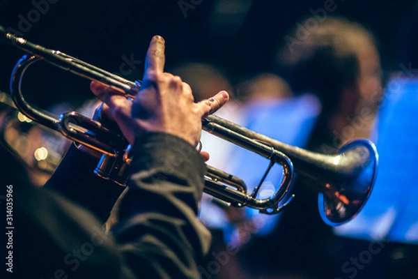 Obraz HAND IN TRUMPET